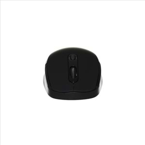 INCA IWM-394T Nano Alıcılı Kablosuz 1600dpi siyah Mouse