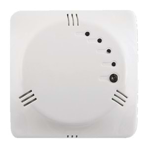 CODE CODESEC GS-290 Adresli Adresli Gaz Dedektörü