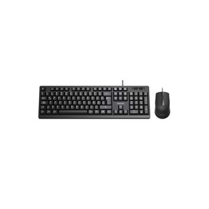 PHILIPS SPT6234 Q Türkçe USB Standart Klavye+ Mouse