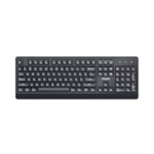 PHILIPS SPK6247B Q USB Siyah Klavye