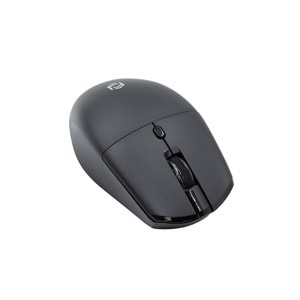 FRISBY FM-284WM Kablosuz siyah Mouse